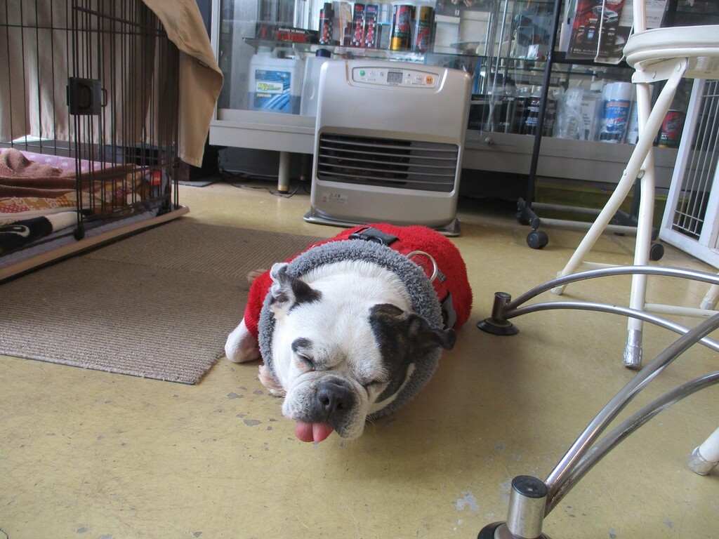 ２月７日（土）のお仕事は？？