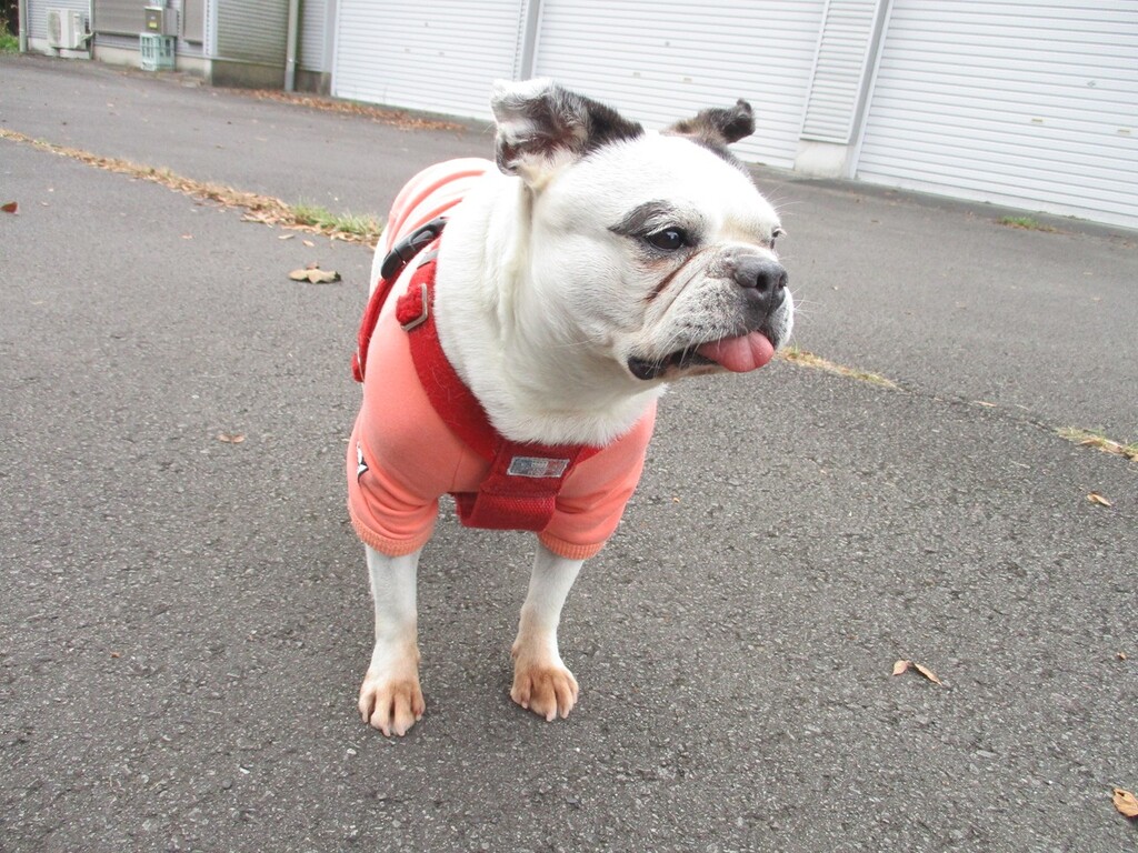 １０月２９日（木）のお仕事は？！